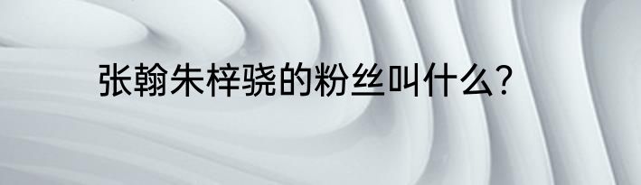 张翰朱梓骁的粉丝叫什么？