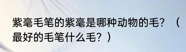 紫毫毛笔的紫毫是哪种动物的毛？（最好的毛笔什么毛？）