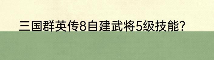 三国群英传8自建武将5级技能？