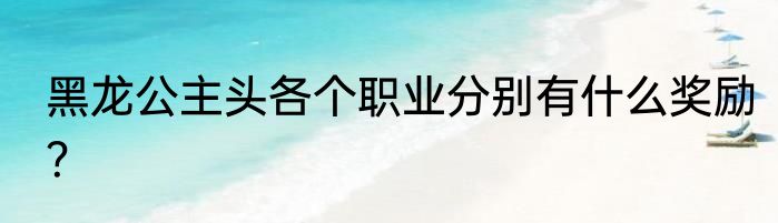 黑龙公主头各个职业分别有什么奖励？