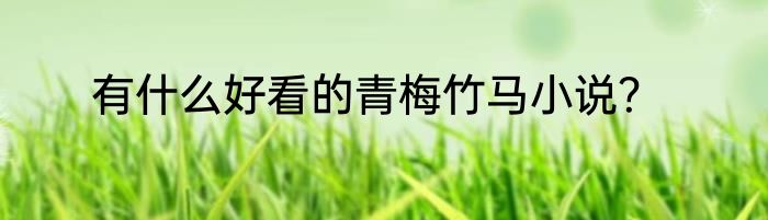 有什么好看的青梅竹马小说？