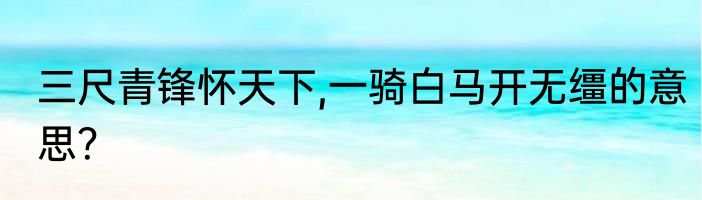 三尺青锋怀天下,一骑白马开无缰的意思？