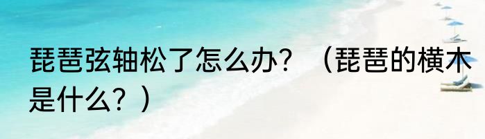 琵琶弦轴松了怎么办？（琵琶的横木是什么？）