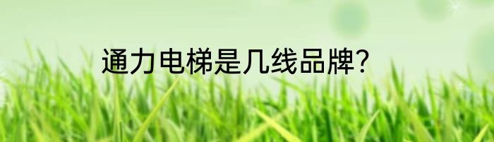 通力电梯是几线品牌？