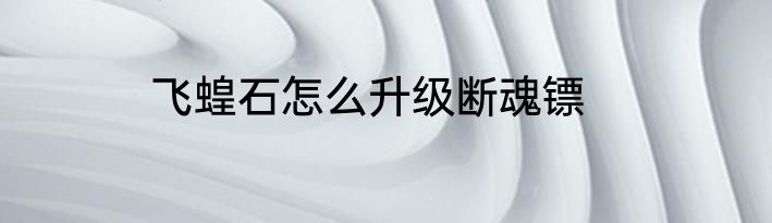 飞蝗石怎么升级断魂镖