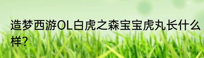 造梦西游OL白虎之森宝宝虎丸长什么样？