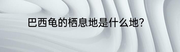 巴西龟的栖息地是什么地？