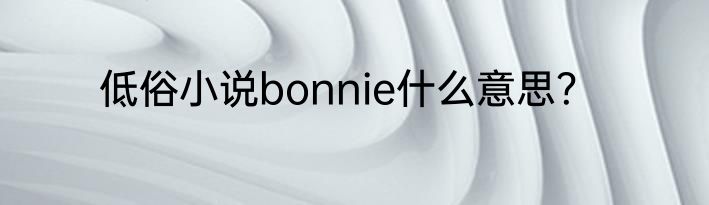 低俗小说bonnie什么意思？