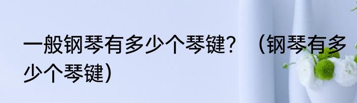 一般钢琴有多少个琴键？（钢琴有多少个琴键）