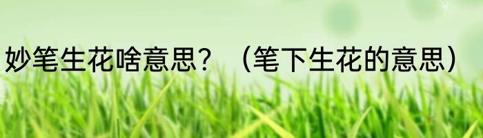 妙笔生花啥意思？（笔下生花的意思）