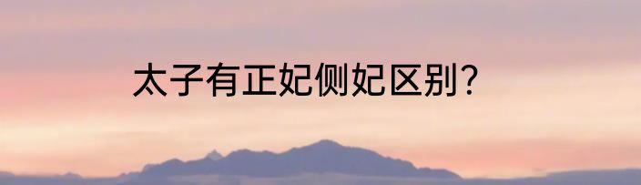 太子有正妃侧妃区别？