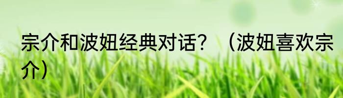 宗介和波妞经典对话？（波妞喜欢宗介）