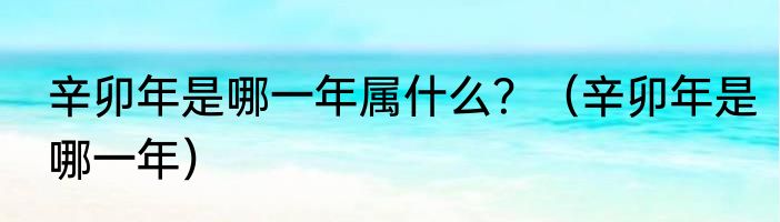 辛卯年是哪一年属什么？（辛卯年是哪一年）