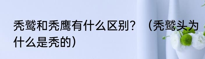 秃鹫和秃鹰有什么区别？（秃鹫头为什么是秃的）