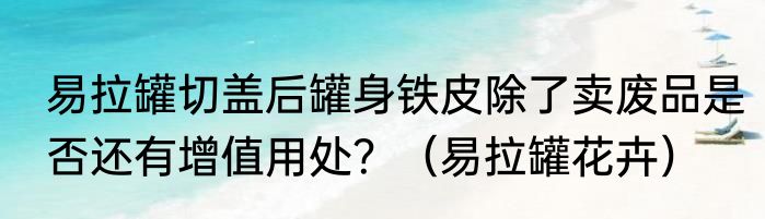 易拉罐切盖后罐身铁皮除了卖废品是否还有增值用处？（易拉罐花卉）