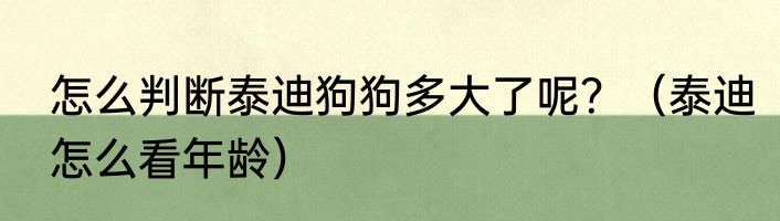 怎么判断泰迪狗狗多大了呢？（泰迪怎么看年龄）