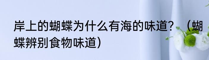岸上的蝴蝶为什么有海的味道？（蝴蝶辨别食物味道）