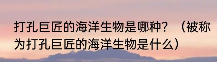 打孔巨匠的海洋生物是哪种？（被称为打孔巨匠的海洋生物是什么）