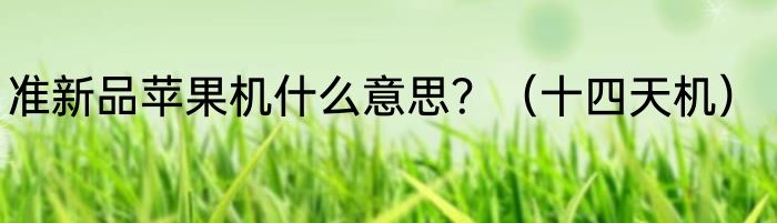 准新品苹果机什么意思？（十四天机）