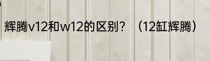 辉腾v12和w12的区别？（12缸辉腾）