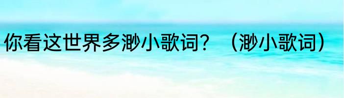 你看这世界多渺小歌词？（渺小歌词）