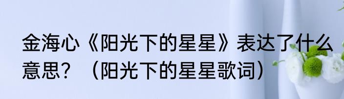 金海心《阳光下的星星》表达了什么意思？（阳光下的星星歌词）