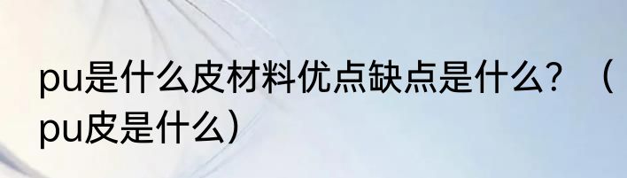 pu是什么皮材料优点缺点是什么？（pu皮是什么）
