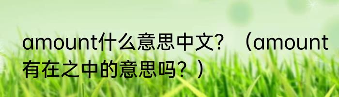 amount什么意思中文？（amount有在之中的意思吗？）