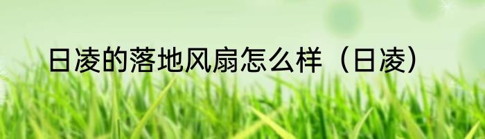 日凌的落地风扇怎么样（日凌）