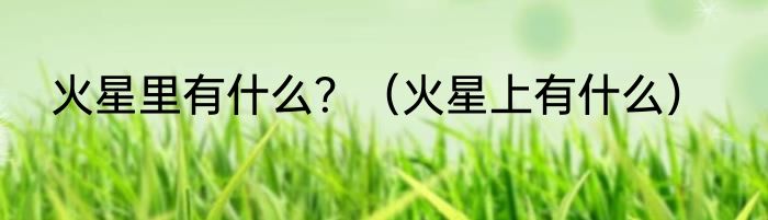 火星里有什么？（火星上有什么）
