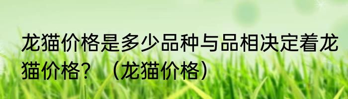 龙猫价格是多少品种与品相决定着龙猫价格？（龙猫价格）