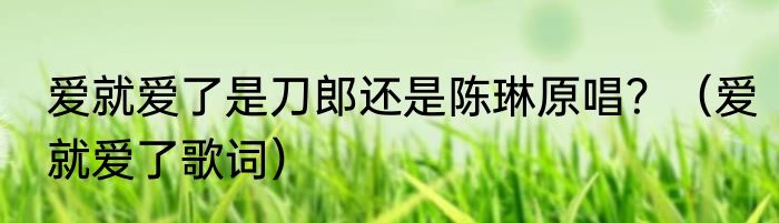 爱就爱了是刀郎还是陈琳原唱？（爱就爱了歌词）