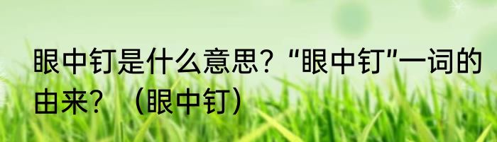 眼中钉是什么意思？“眼中钉”一词的由来？（眼中钉）