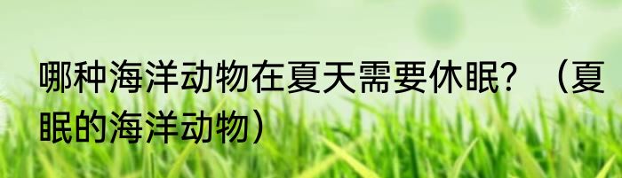 哪种海洋动物在夏天需要休眠？（夏眠的海洋动物）