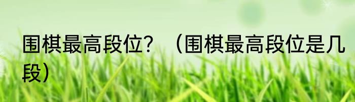 围棋最高段位？（围棋最高段位是几段）