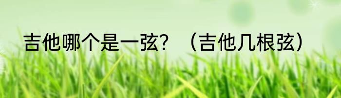 吉他哪个是一弦？（吉他几根弦）