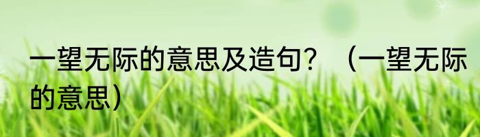 一望无际的意思及造句？（一望无际的意思）