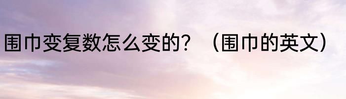 围巾变复数怎么变的？（围巾的英文）