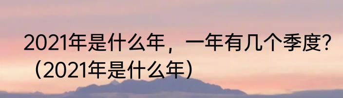 2021年是什么年，一年有几个季度？（2021年是什么年）