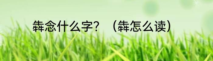 犇念什么字？（犇怎么读）