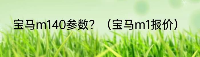 宝马m140参数？（宝马m1报价）
