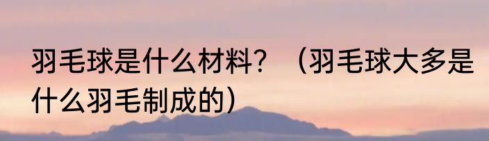 羽毛球是什么材料？（羽毛球大多是什么羽毛制成的）