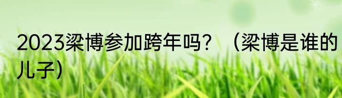 2023梁博参加跨年吗？（梁博是谁的儿子）