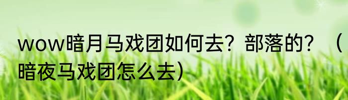 wow暗月马戏团如何去？部落的？（暗夜马戏团怎么去）