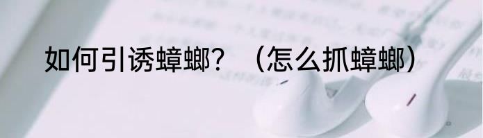 如何引诱蟑螂？（怎么抓蟑螂）