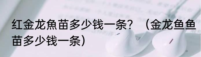 红金龙魚苗多少钱一条？（金龙鱼鱼苗多少钱一条）