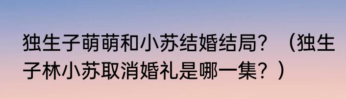 独生子萌萌和小苏结婚结局？（独生子林小苏取消婚礼是哪一集？）
