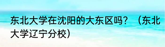 东北大学在沈阳的大东区吗？（东北大学辽宁分校）