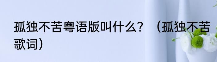 孤独不苦粤语版叫什么？（孤独不苦歌词）