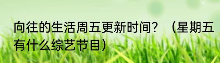 向往的生活周五更新时间？（星期五有什么综艺节目）